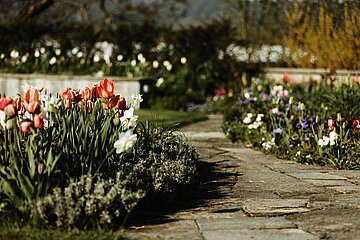 VIVA Gartenbau AG VivaGartenbau_Gartengestaltung.jpg